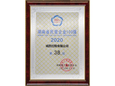 湖南省民營企業(yè)100強(qiáng)第38位