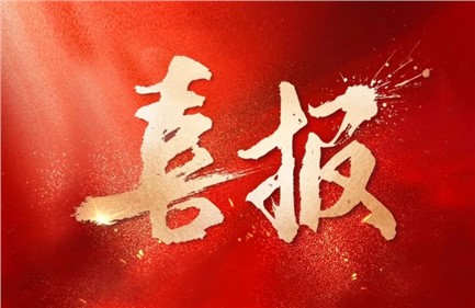 喜報(bào)|威勝集團(tuán)中標(biāo)國家電網(wǎng)項(xiàng)目，總中標(biāo)金額超1.15億元，行業(yè)排名第一！